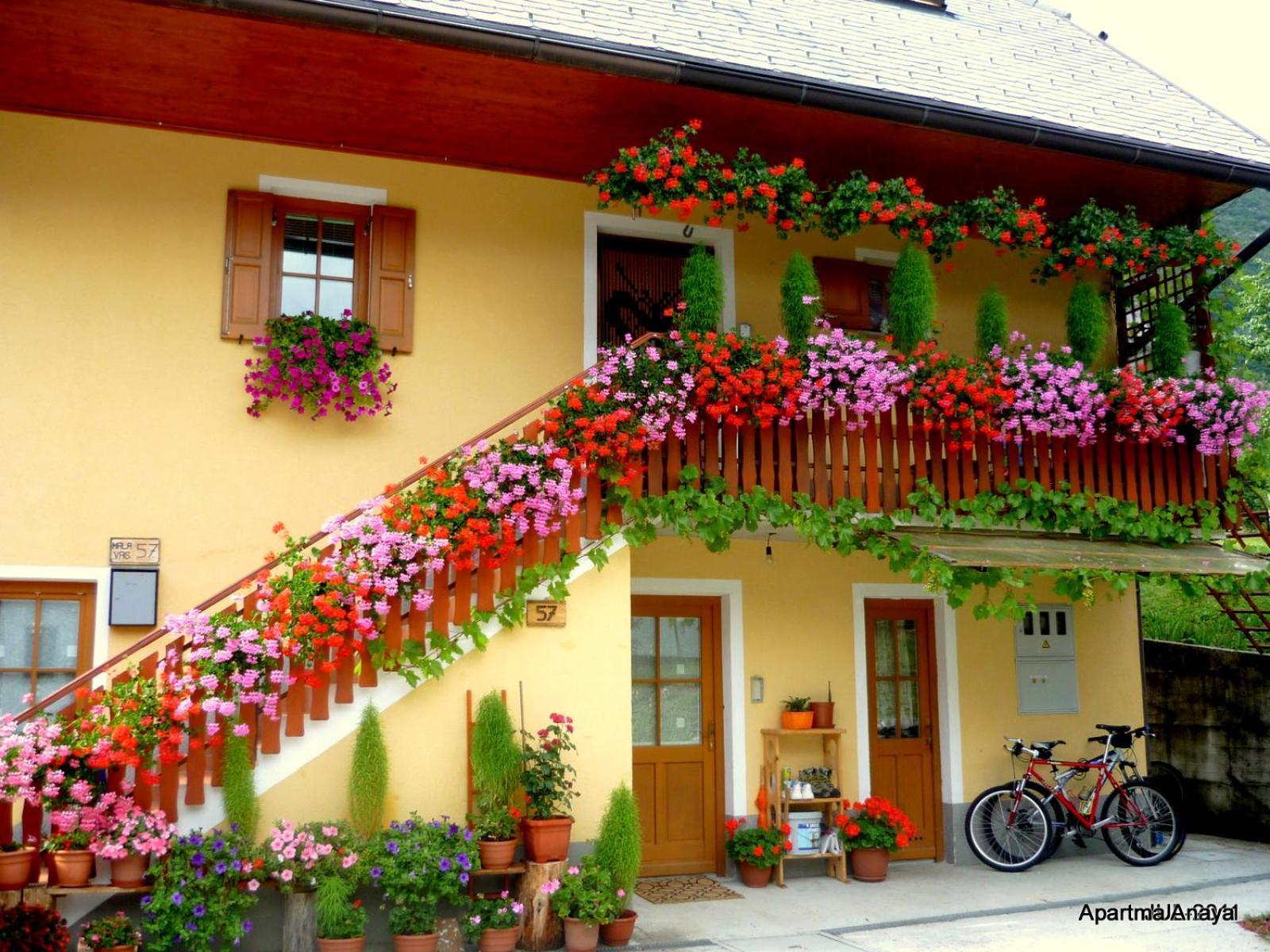 Apartment Anaya Paradise For Families Bovec Exterior photo